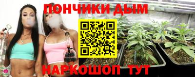 сатива Обь