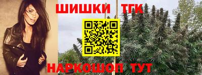 сатива Обь