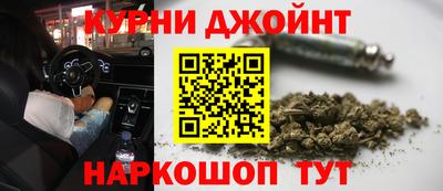 сатива Обь