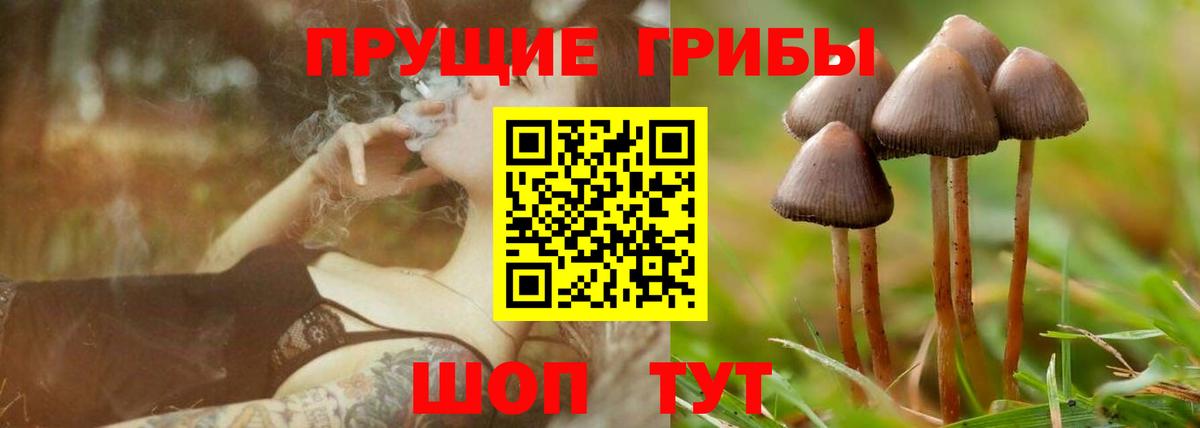 как найти закладки  Галлюциногенные грибы Magic Shrooms  Вход с VPN  Рославль 